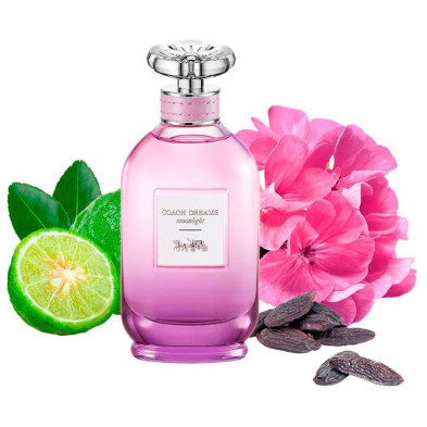 Coach Dreams Moonlight Edp Vapo 60 Ml