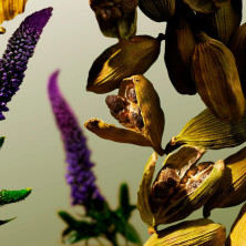 L'Essentiel Edp Vapo 15 Ml