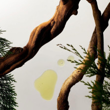 Homme Refill Car Air Freshener 2 X 3 Gr