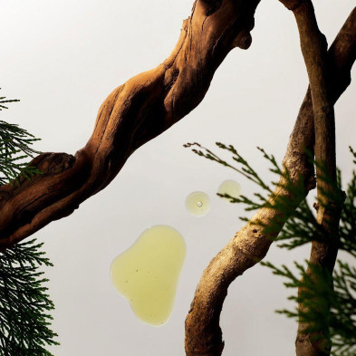 Homme Refill Car Air Freshener 2 X 3 Gr