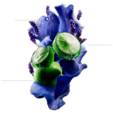 Scalp Advanced Champú Recarga 500 Ml