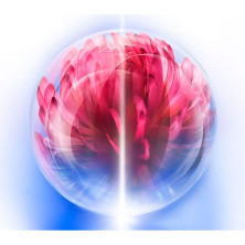 Bio-Performance Skin Hiforce Cream 50 Ml