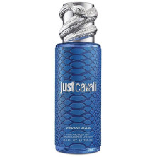Mist Blue Spray Corporal 250 Ml