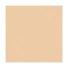 Delfy Foundation Base De Maquillaje Waterproof 10 Natural 35 Ml