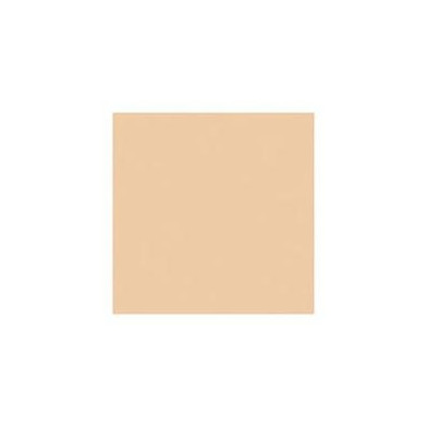 Delfy Foundation Base De Maquillaje Waterproof 10 Natural 35 Ml