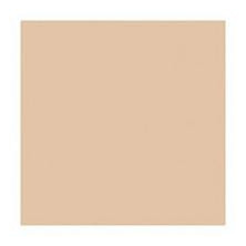 Delfy Foundation Base De Maquillaje Waterproof 10 Beige 35 Ml