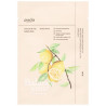 Charcoal Y Yuja Bubble Mask, Tratamientos Faciales Ondo Beauty 36.5 - Perfumes Club Charcoal Y Yuja Bubble Mask, Tratamientos Faciales Ondo Beauty 36.5 - Perfumes Club