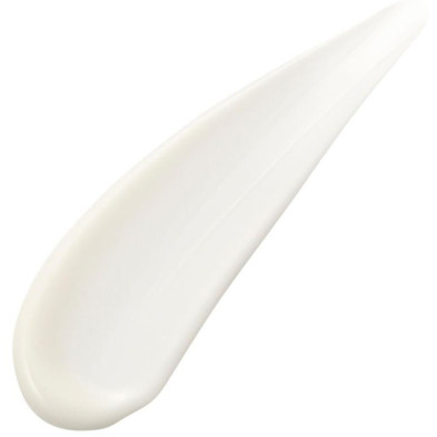 Absolute Silk Fluid 80 Ml