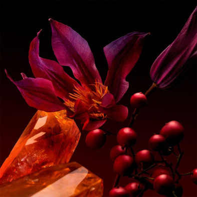 The Scent For Her Elixir Edp Vapo 30 Ml