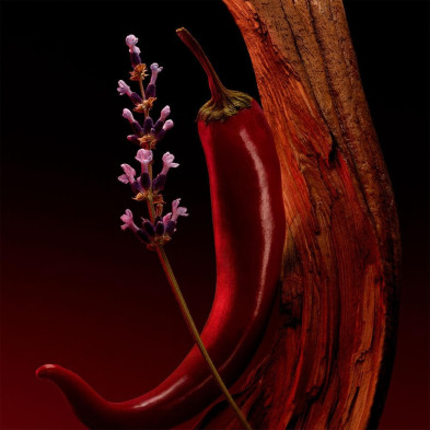 The Scent For Him Elixir Edp Vapo 50 Ml