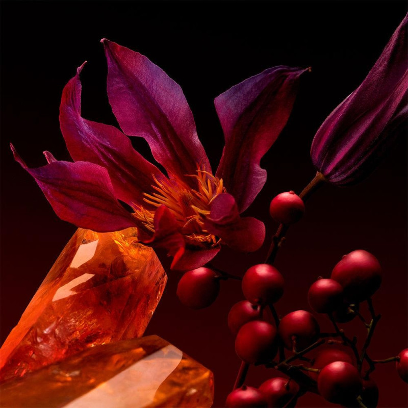 The Scent For Her Elixir Edp Vapo 50 Ml