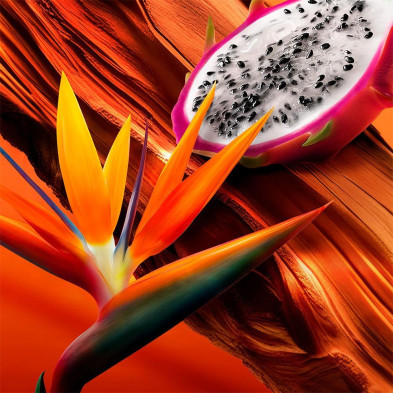 Bali Paradise Edt Vapo 30 Ml