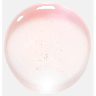 Gloss Absolu Champú Hidratante Y Iluminador 250 Ml