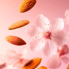 The Ritual Of Sakura Shower Oil 200 Ml