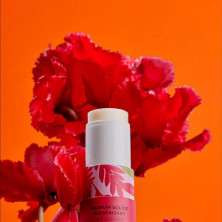 Gingembre Rouge Perfume Sólido Bienestar 5 Gr