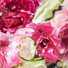 Aqua Allegoria Rosa Verde Crema De Manos 50 Ml