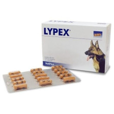 Lypex 60 Comp