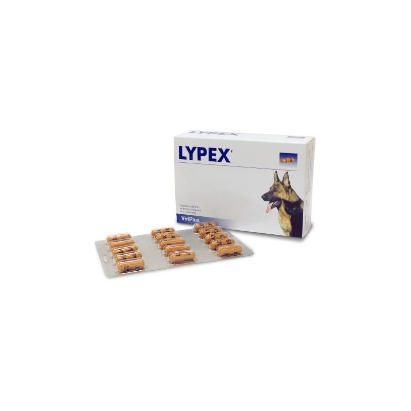 Lypex 60 Comp