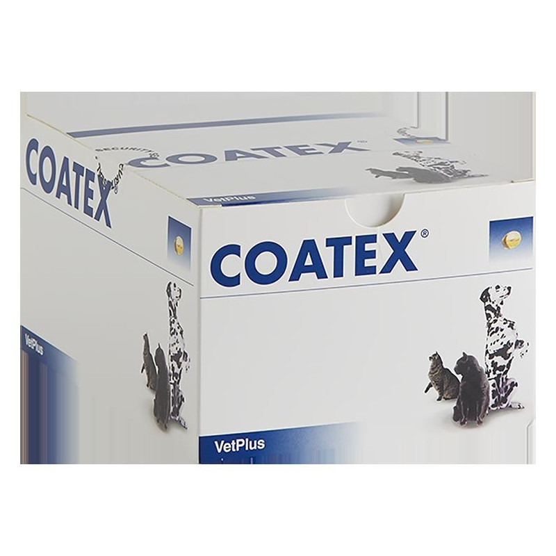 Coatex Blister 60 X 4 240 Caps