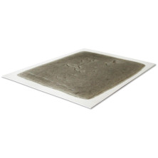 Zepo Trampa Encolada (Pack 5 Uds)