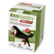 Omnicondro Pro Rapid 60 Comp