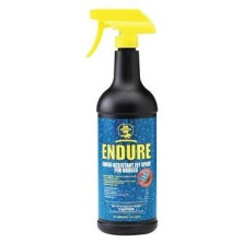 Endure 946 Ml