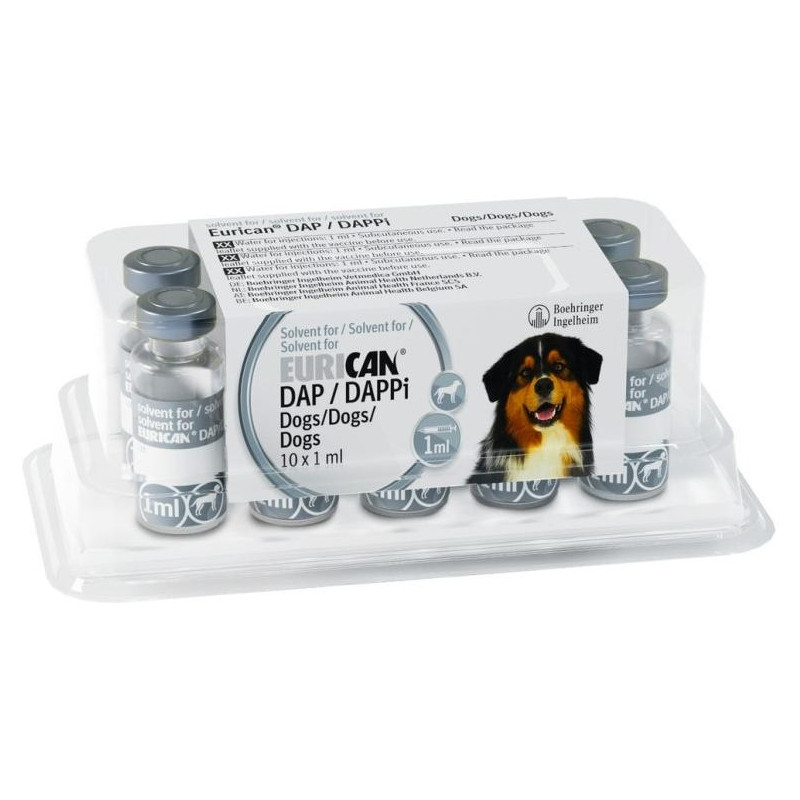 Eurican Solvente 10 Ds