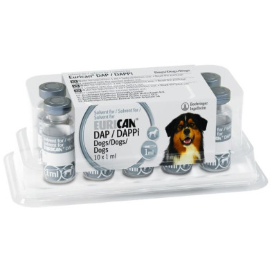 Eurican Solvente 10 Ds