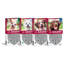 Advantix 0 - 4 Kg 4 Pipetas X 0,4 Ml