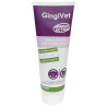Gingivet Pasta 100 G