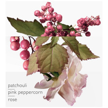 Twilly D'Hermès Eau Poivrée Eau De Parfum Vaporizador 30 Ml