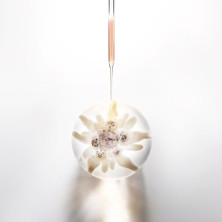 Helena Rubinstein Prodigy Cellglow Clarity Essence 200Ml