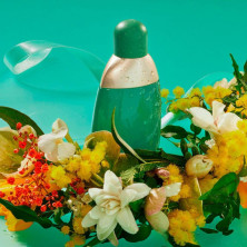 Eden Eau De Parfum Vaporizador 50 Ml