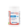 Ergycardio Forte 90Cap - Nutergia