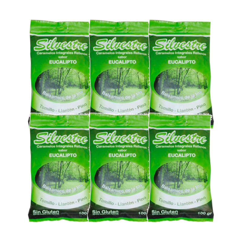 Pack 6 x Caramelos Rellenos Eucalipto con Miel 100g - Silvestre