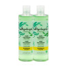 Algologie Champú Revitalizante con algas, ginkgo y ginseng 300 ml - Pack de 2 botes (600 ml en total)