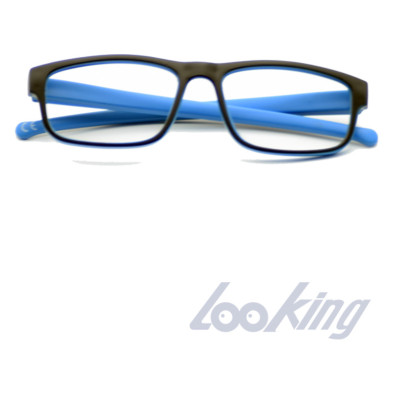 Gafa  Paul +1.50 - Loring