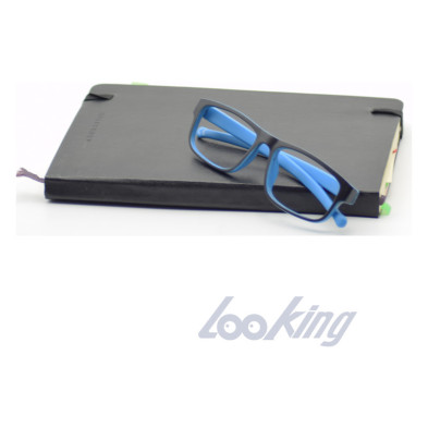 Gafa  Paul +1.50 - Loring