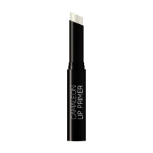 Pintalabios Mate Basic Colourstick Berenjena + Fijador Labial Primer