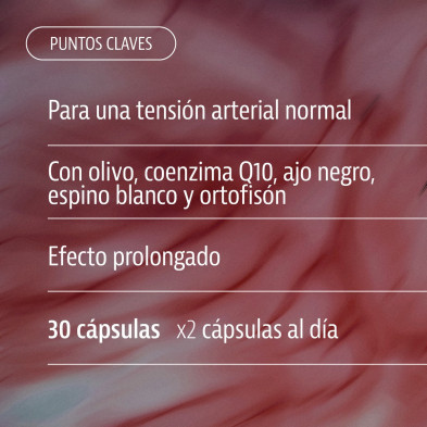 Normaltens 30 Cápsulas - Plameca