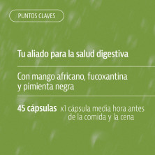 Plan Vientre Activ 45 Cápsulas - Plameca