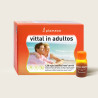 Vittal In Adultos Jalea Real 20 Viales - Plameca