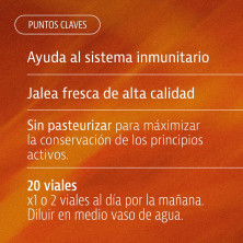 Vittal In Adultos Jalea Real 20 Viales - Plameca