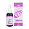 Emotion Transcend 50ml - Equisalud