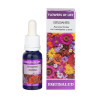 Flowers Of Life Estudiantes 15ml - Equisalud