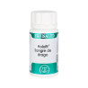 Holofit Sangre De Drago 50 Cápsulas - Equisalud