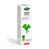 Phytobiopole Ginkgo Biloba 50ml - Intersa Dietéticos