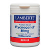 Pycnogenol 40mg 60 Cápsulas - Lamberts