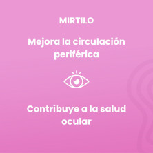 Mirtilo ( Bilberry) 100 Comprimidos - Sotya