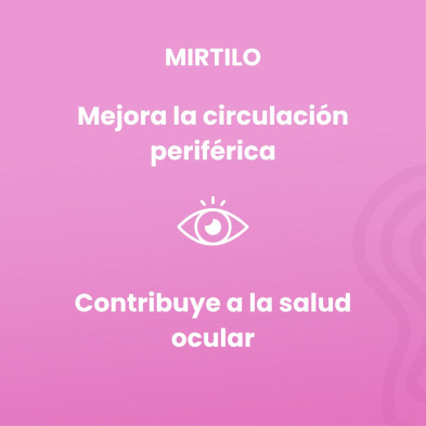 Mirtilo ( Bilberry) 100 Comprimidos - Sotya